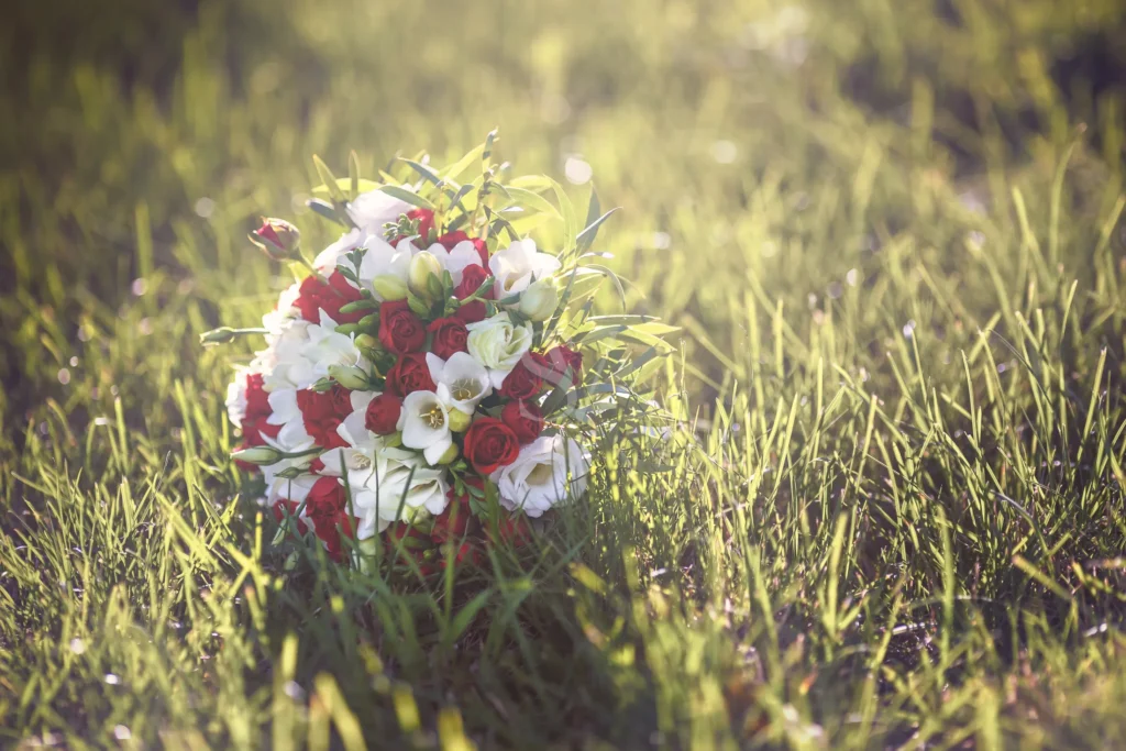 Wedding bouquet with red and white flowers resting in sunlit grass